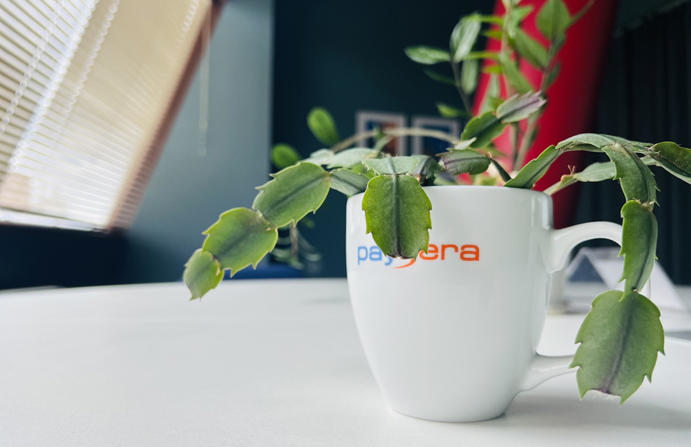 Sustainably repurposing items at Paysera.